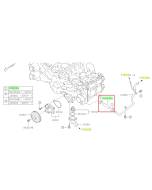 Subaru OEM Complete Coolant Hose Kit (11-13 Forester - 25B)