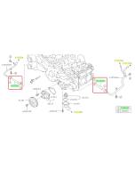 Subaru OEM Complete Coolant Hose Kit (17-18 Forester - 25B)