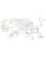 Subaru OEM Complete Coolant Hose Kit (14-18 Forester XT)