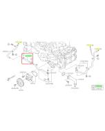 Subaru OEM Complete Coolant Hose Kit (19-23 Forester)