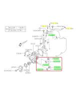 Subaru OEM Complete Coolant Hose Kit (05-06 Outback XT)