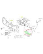 Subaru OEM Complete Coolant Hose Kit (05-09 Outback - 30D)
