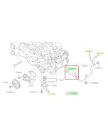 Subaru OEM Complete Coolant Hose Kit (13-14 Outback - 25B)