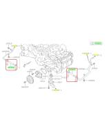 Subaru OEM Complete Coolant Hose Kit (15-19 Outback - 25B)