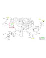 Subaru OEM Complete Coolant Hose Kit (20-25 Outback - 25D)