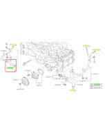 Subaru OEM Complete Coolant Hose Kit (17-23 Impreza)