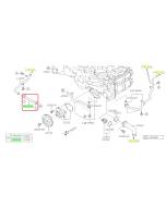 Subaru OEM Complete Coolant Hose Kit (24-25 Impreza - 25D)